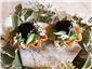 onion canape